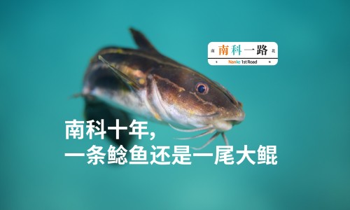 透石膏和猫眼哪个好-【石膏猫眼石对人有害吗】猫眼石功效和作用 - 透石膏猫眼石的功效与作用网