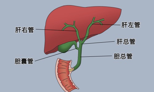 石膏猫眼石对人有害吗-【石膏猫眼石对人有害吗】猫眼石功效和作用 - 透石膏猫眼石的功效与作用网